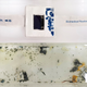 A prototype smartwatch made with zinc-silver nanocomposite circuits inside a polyvinyl alcohol case (top) dissolves in water within 40 hours (bottom).
